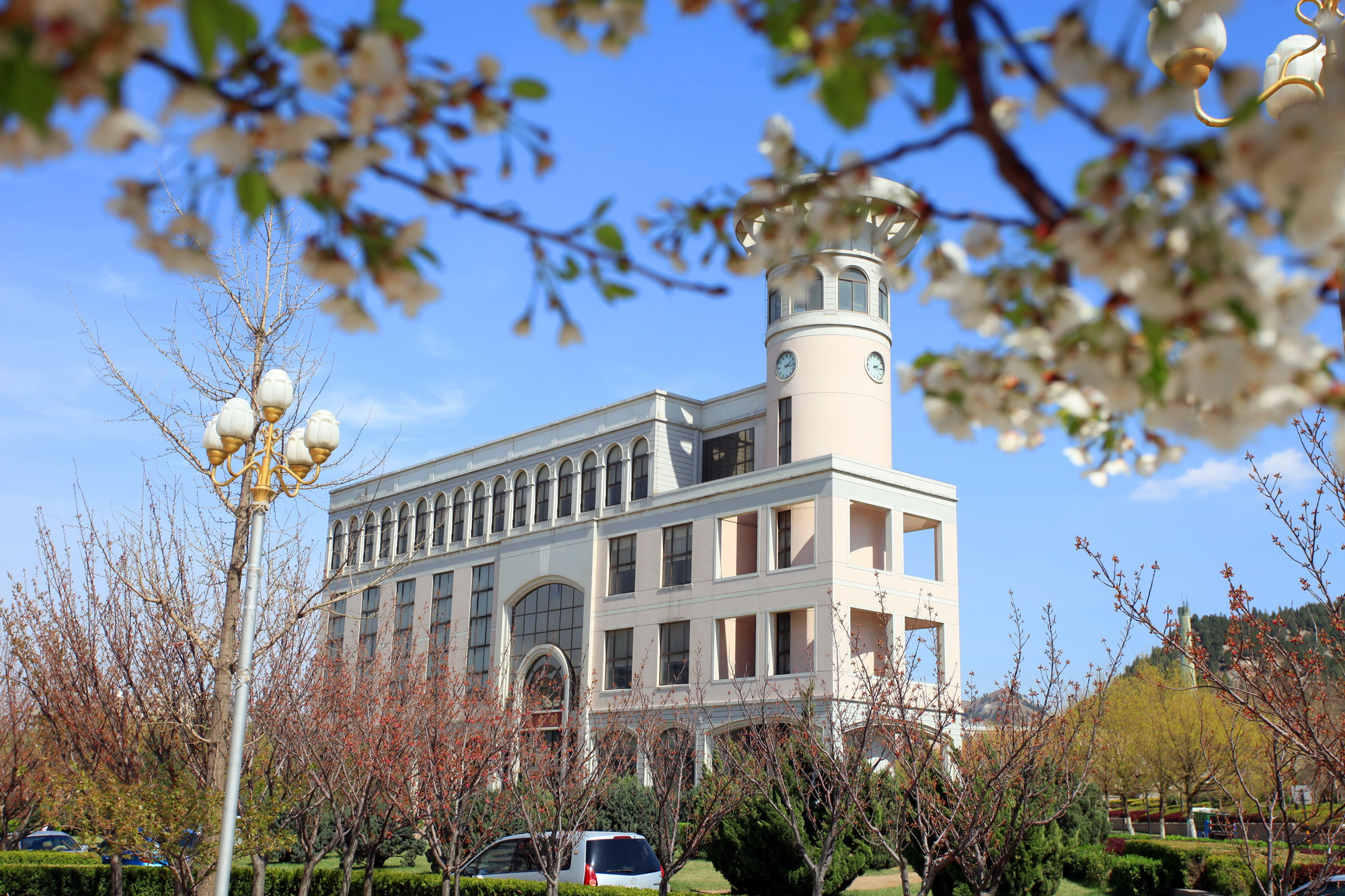 图书馆- (1).jpg